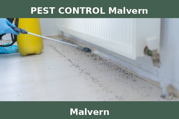 PEST CONTROL Malvern